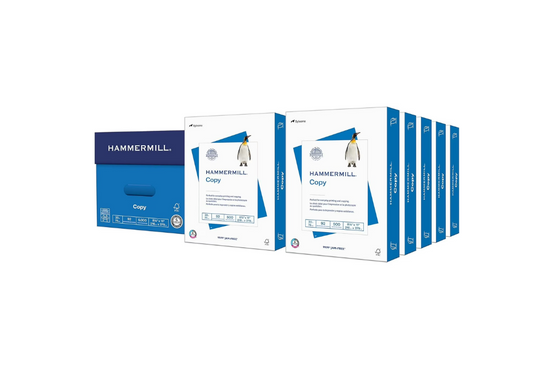 Hammermill Printer Paper, 20 lb Copy Paper, 8.5 x 11 - 10 Ream (5,000 Sheets) - 92 Bright